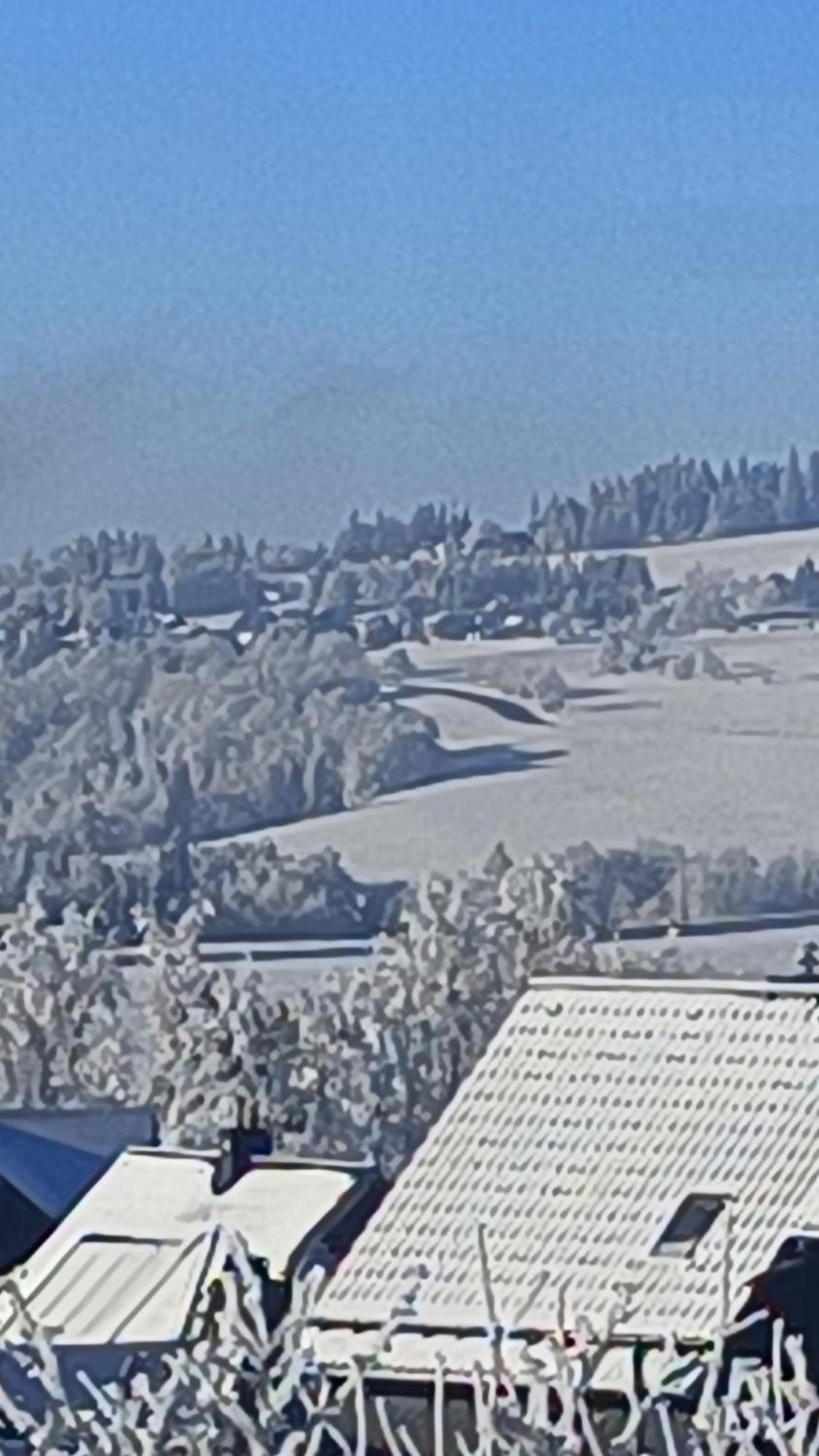Pension Thüringer Wald - Monteurzimmer Reichmannsdorf Exterior foto